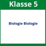 Biologie Klasse 5 Biologie Arbeitsblätter Zum Ausdrucken