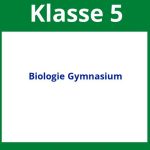 Arbeitsblätter Biologie 5 Klasse Gymnasium