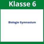 Arbeitsblätter Biologie Klasse 6 Gymnasium