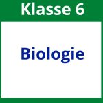 Arbeitsblätter Biologie Klasse 6
