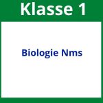Biologie 1 Klasse Nms Arbeitsblätter