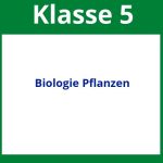 Arbeitsblätter Biologie Klasse 5 Pflanzen