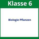 Arbeitsblätter Biologie Klasse 6 Pflanzen
