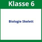Arbeitsblätter Biologie Klasse 6 Skelett