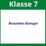Blutzellen Biologie Arbeitsblätter Klasse 7