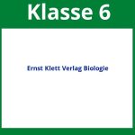 Ernst Klett Verlag Arbeitsblätter Biologie Lösungen Klasse 6