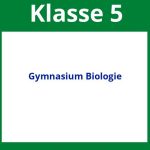 Arbeitsblätter Gymnasium 5 Klasse Biologie