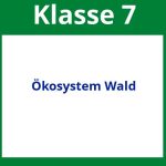 Ökosystem Wald Arbeitsblätter Klasse 7