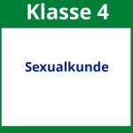 Arbeitsblätter Sexualkunde 4. Klasse