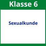 Arbeitsblätter Sexualkunde 6. Klasse